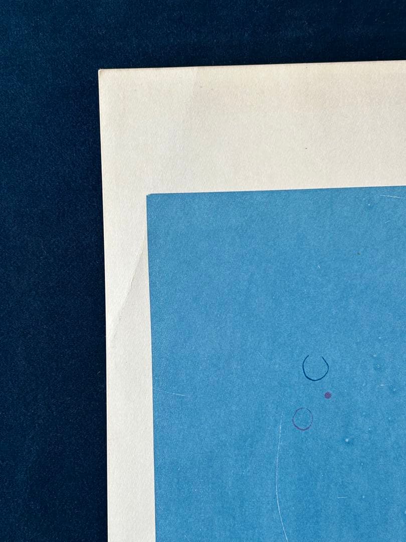 ワイルド・アフェア　USオリジナル映画ポスター