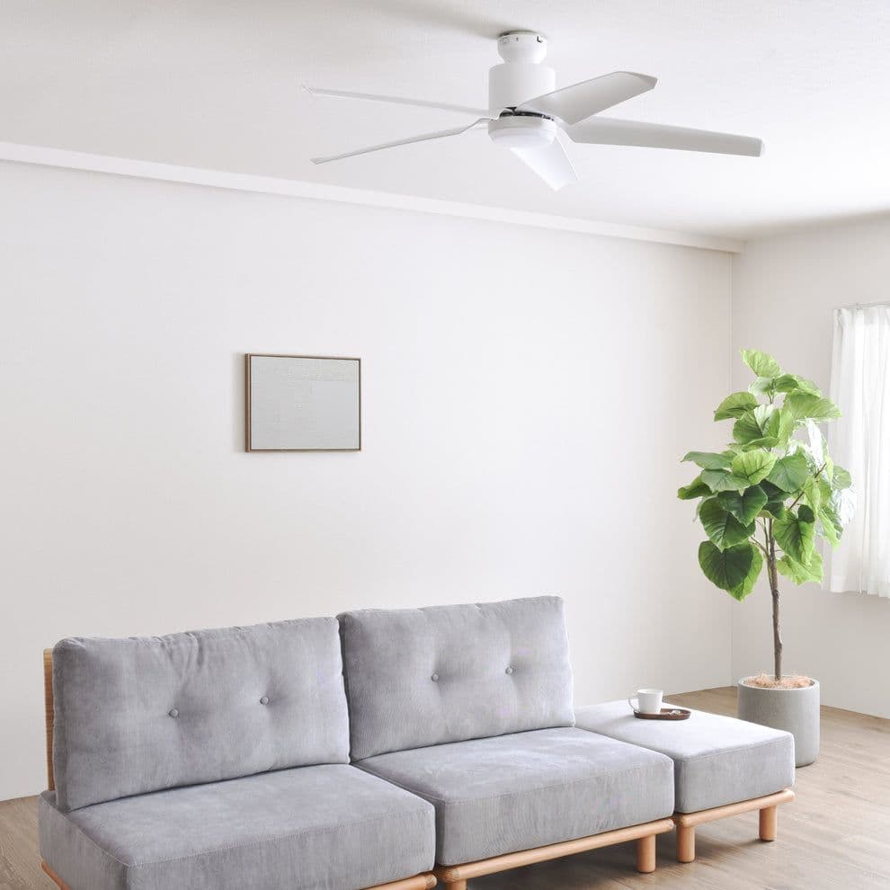 ホワイト　シーリングファンライト リモコン付き　Finia（フィニア）
