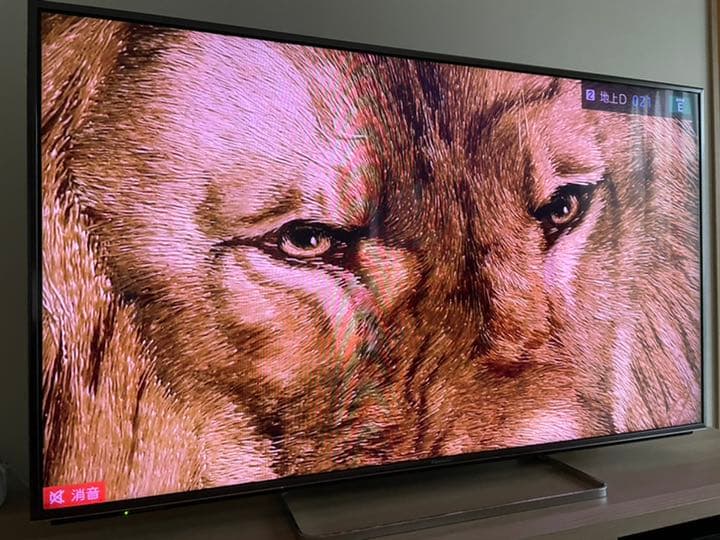 Panasonic VIERA AS800 TH-55AS800