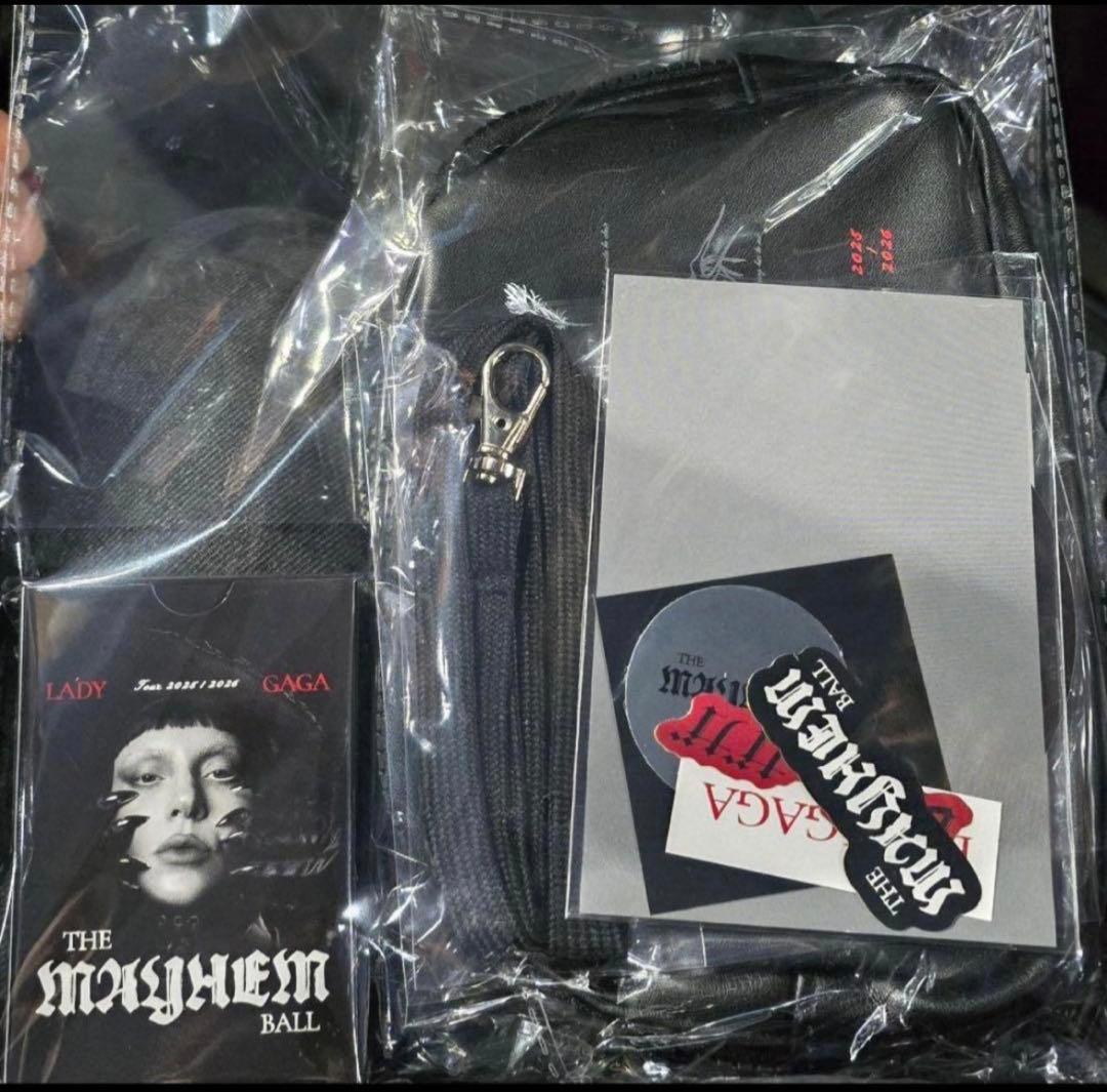 LadyGaga VIP Silver MAYHEM Ball VIP限定グッズ - メルカリ