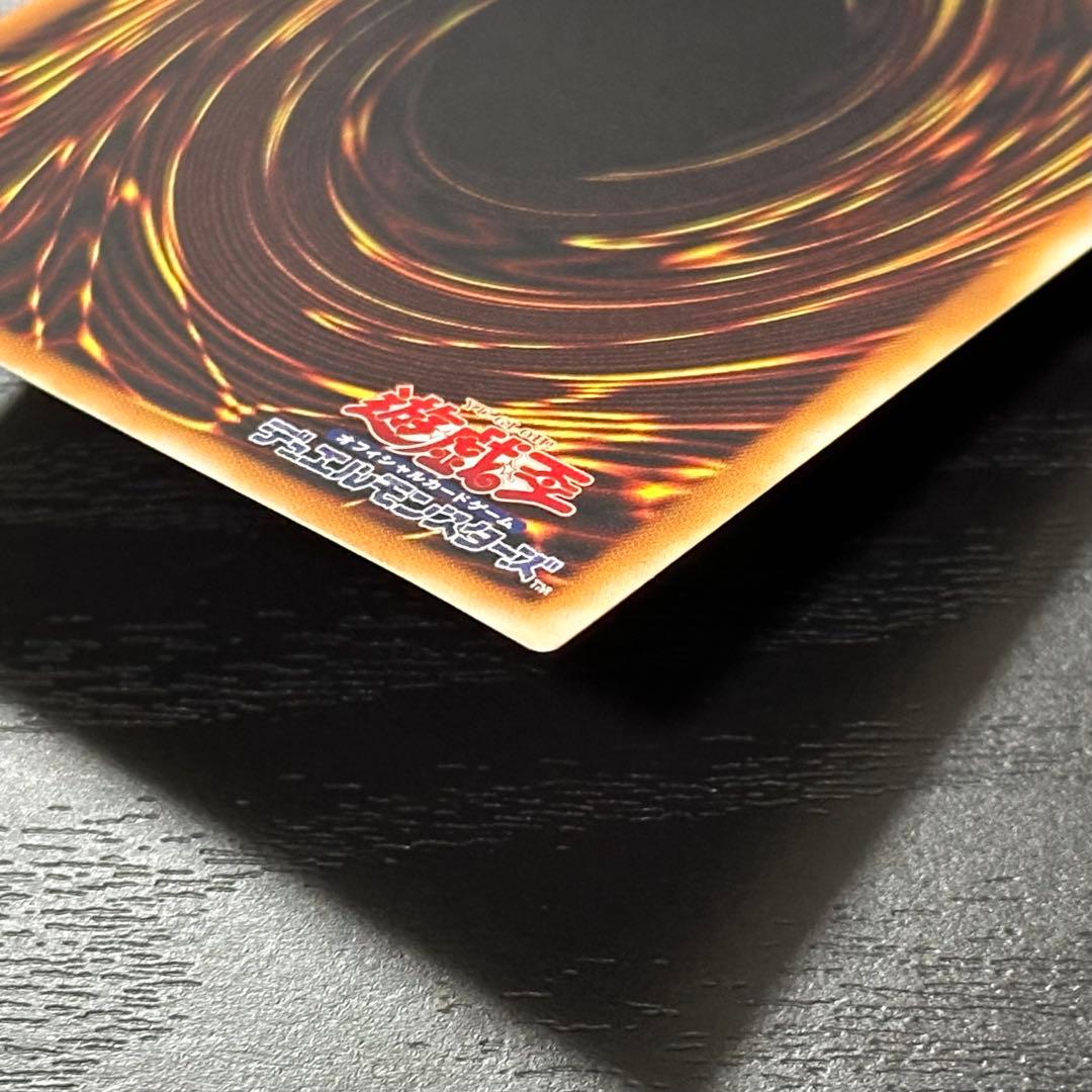 遊戯王 ブラックパラディン レリーフ