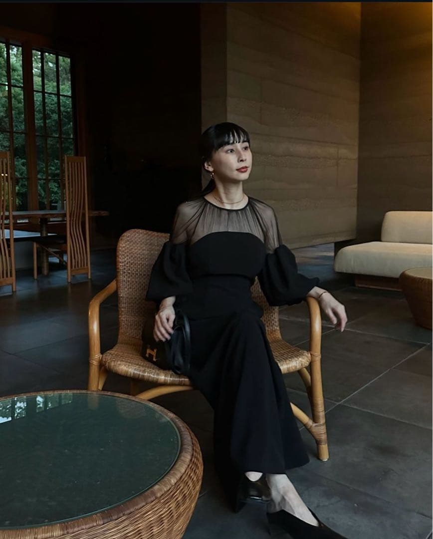 AMERISOUFFLE SLEEVE VELOUR DRESS