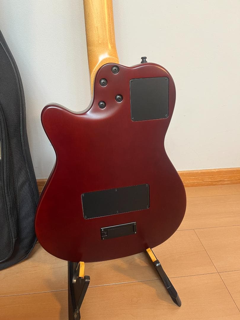 Godin ゴダン アコースティックギター A-12 12弦ギター エレアコ