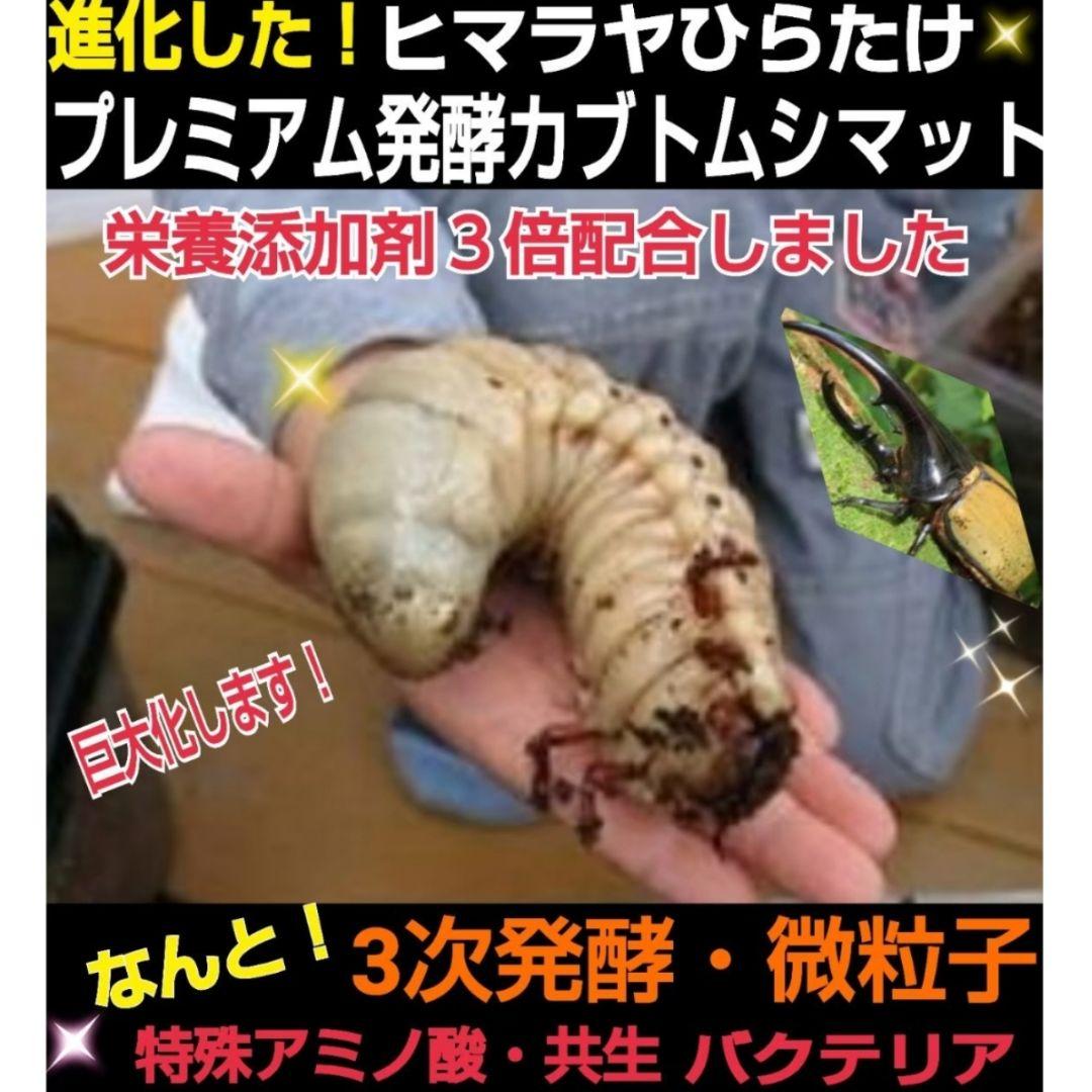 極上！プレミアム3次発酵ヘラクレスマット【4袋セット】幼虫巨大化