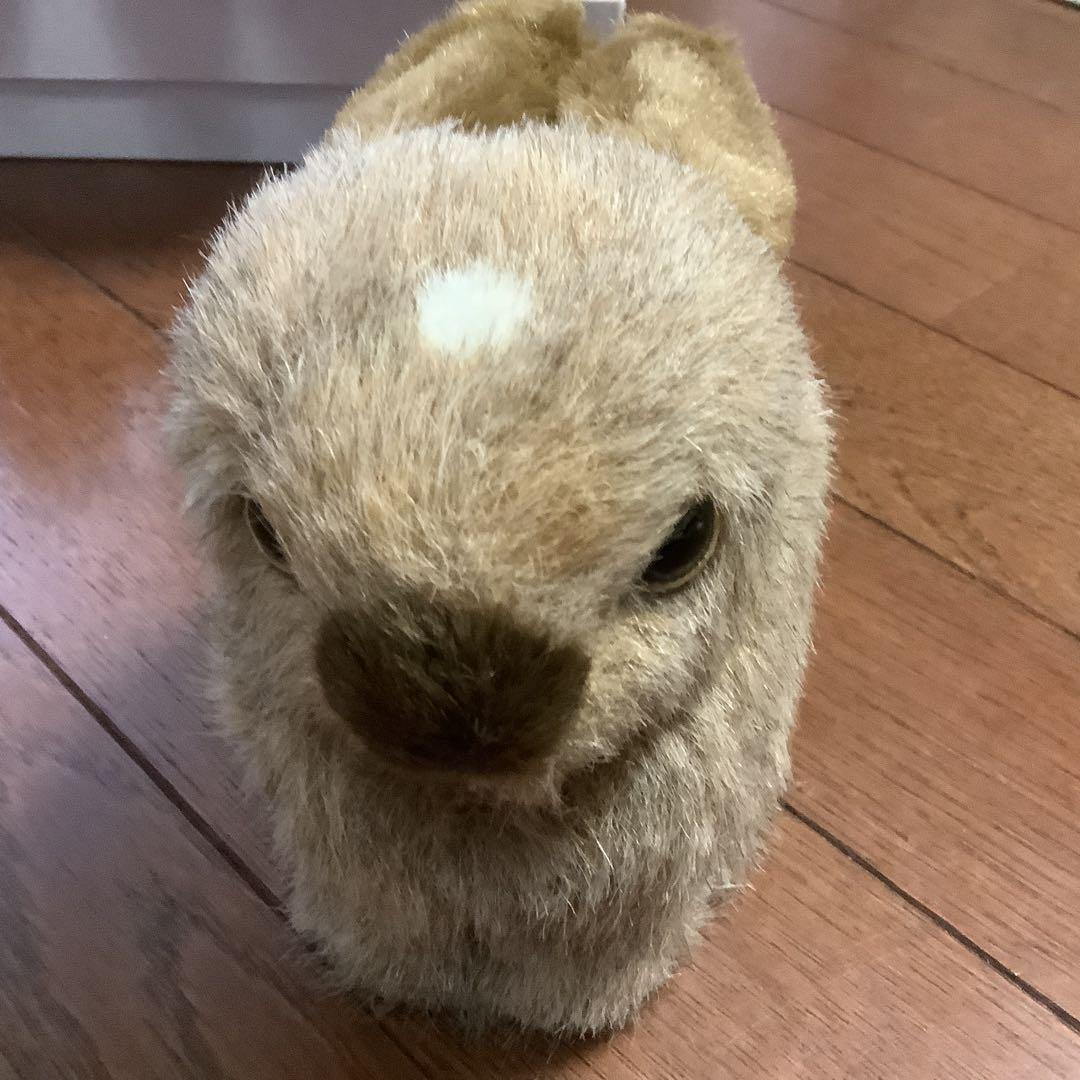 やまね工房　キツネ、エゾリス、モモンガ、やまね、野うさぎのぬいぐるみセット