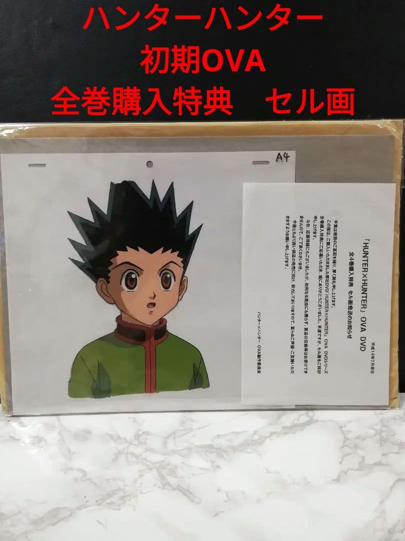 HUNTER×HUNTER ハンター×ハンター セル画 ゴン