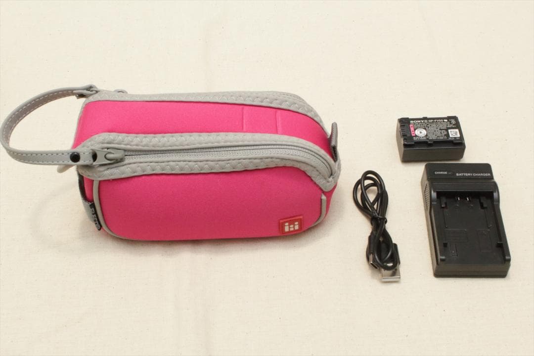 かのデール ！SONY HDR-CX480　ビデオカメラ