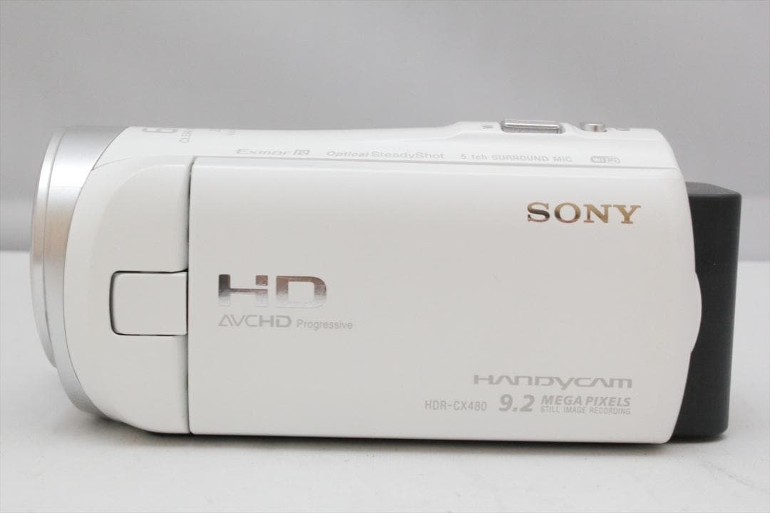 かのデール ！SONY HDR-CX480　ビデオカメラ
