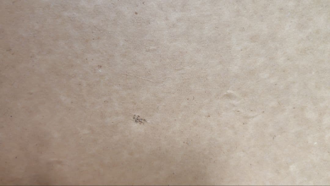 水墨画 自然風景 掛け軸