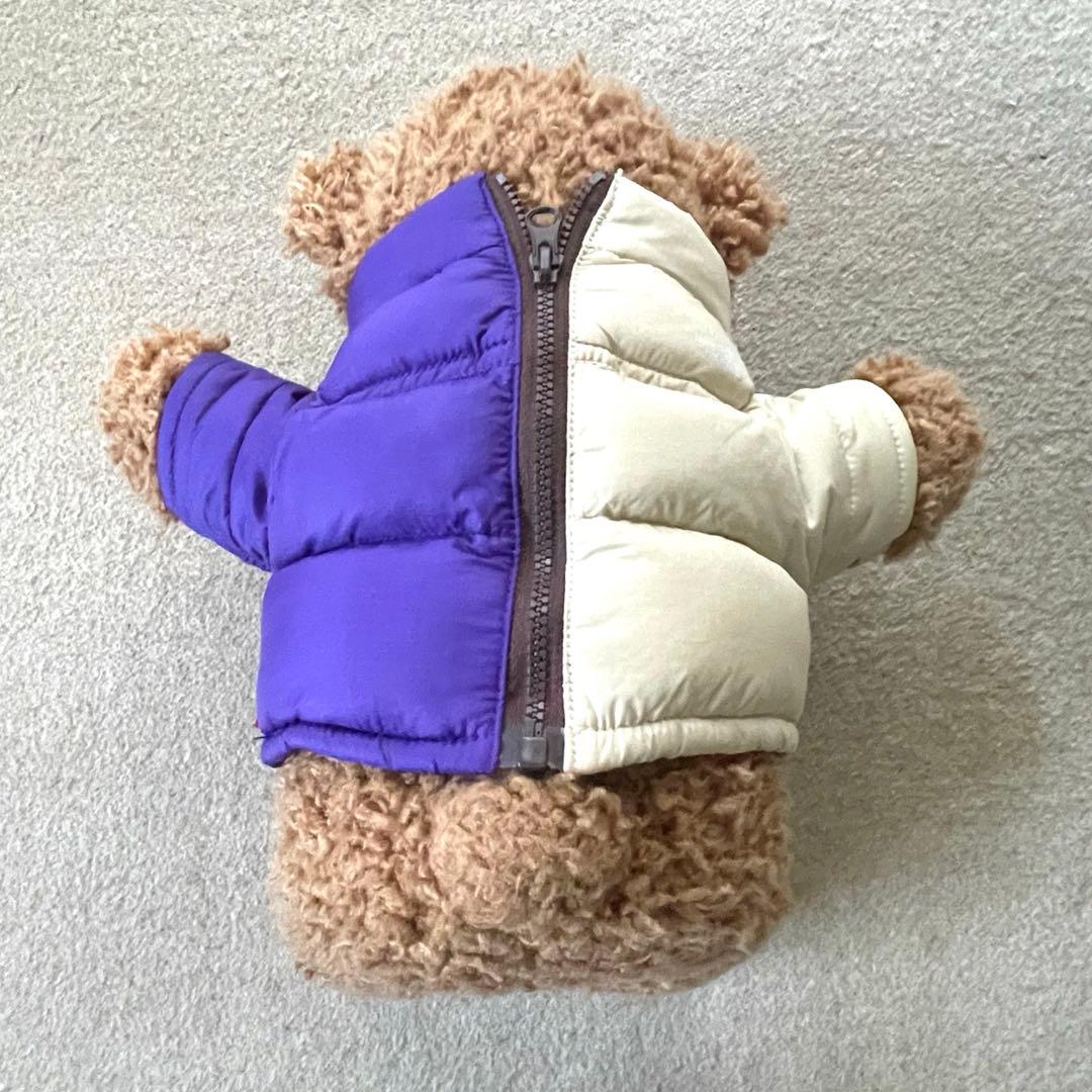 【大人気】Supreme x The North Face Bear Tan