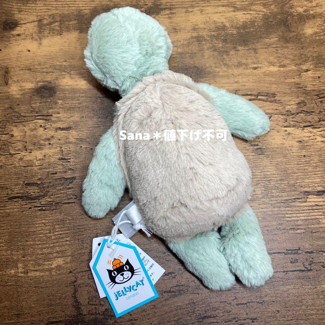 廃盤　新品　ジェリーキャット　バシュフル　カメ　Bashful Turtle S