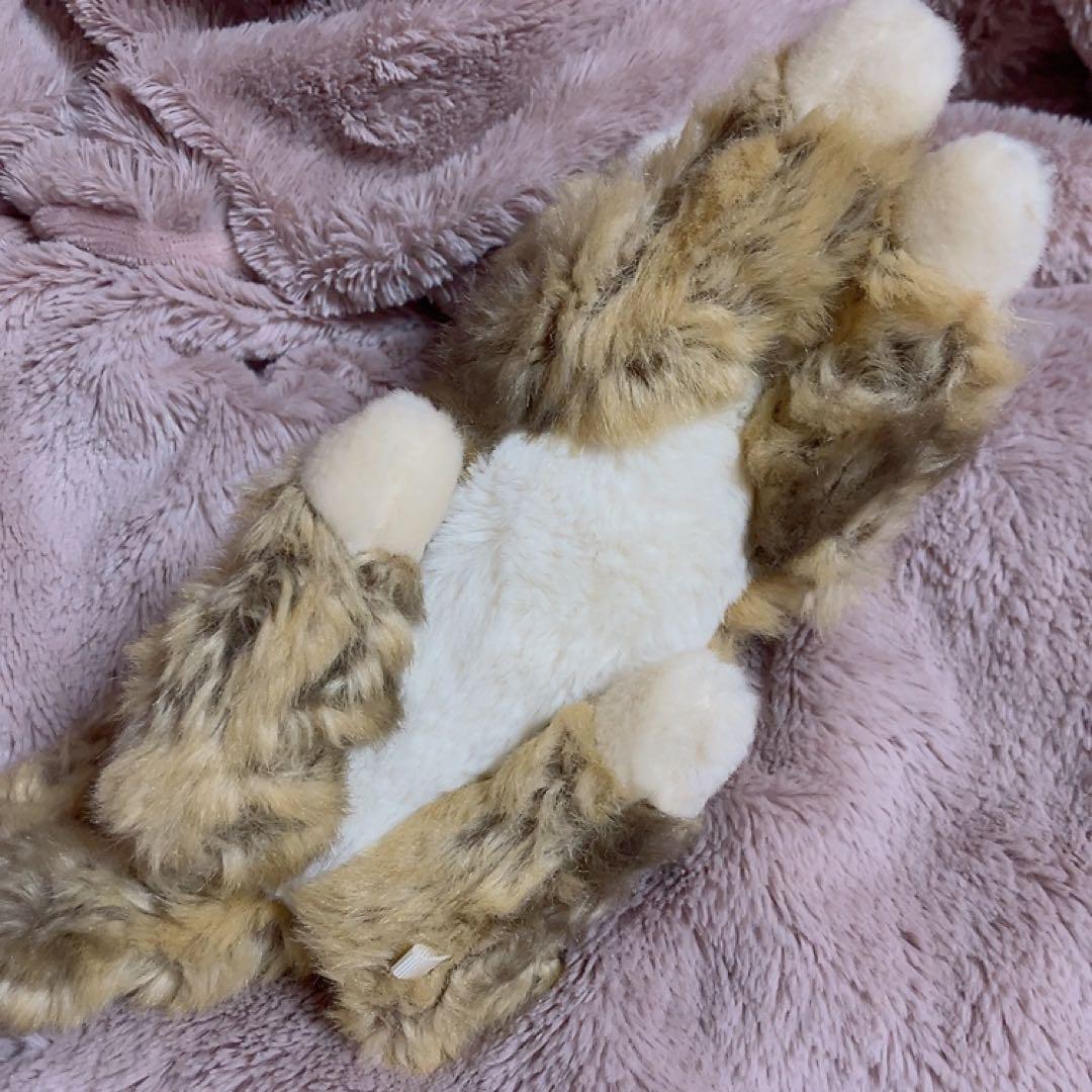 シュタイフ Steiff ねこのルーシー Lucy Katze 猫 18cm