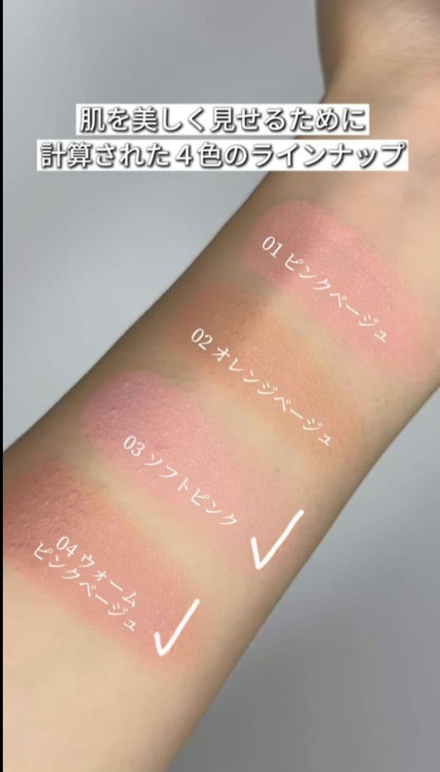 ブリリアージュ カムフラージュコンシーラーチーク 2色と下地 セット