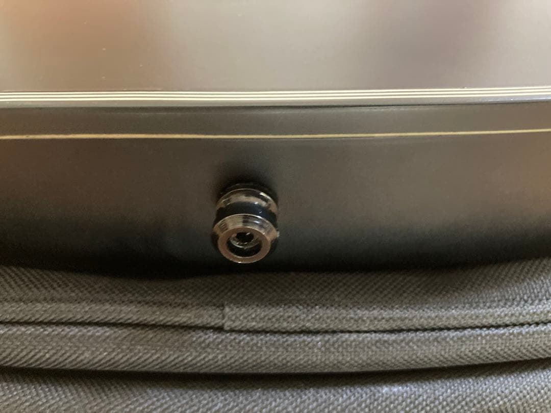 Ibanez RGIR30 BFE EMG搭載