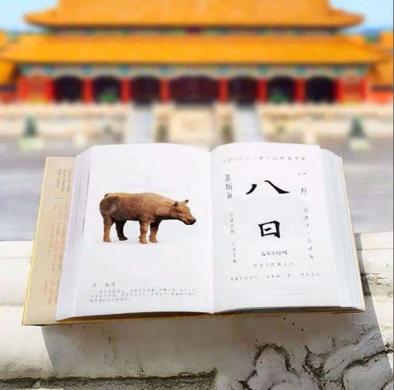 故宮日暦（2021年版） E13426638
