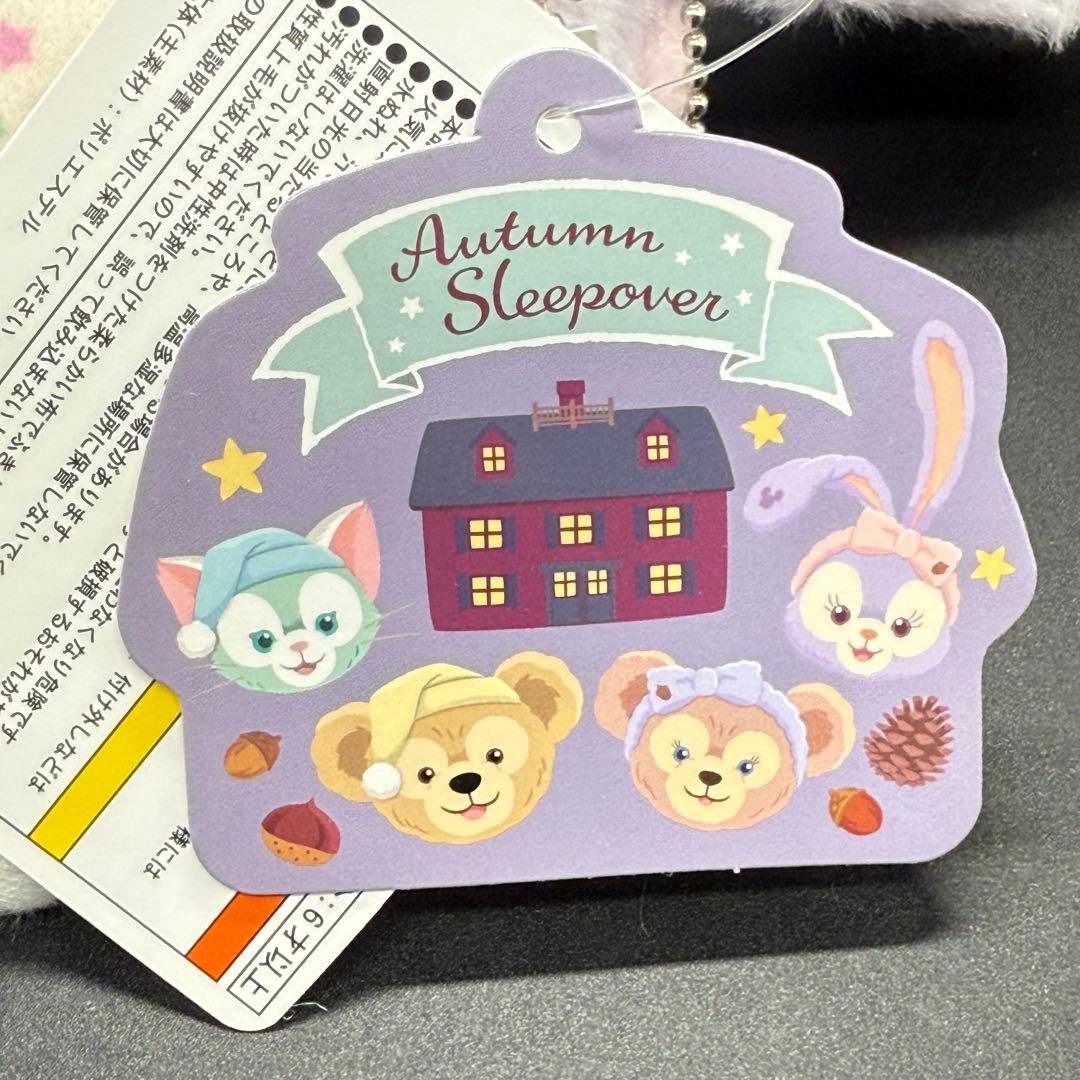 ステラルー　オータムスリープオーバー　ぬいぐるみバッジ