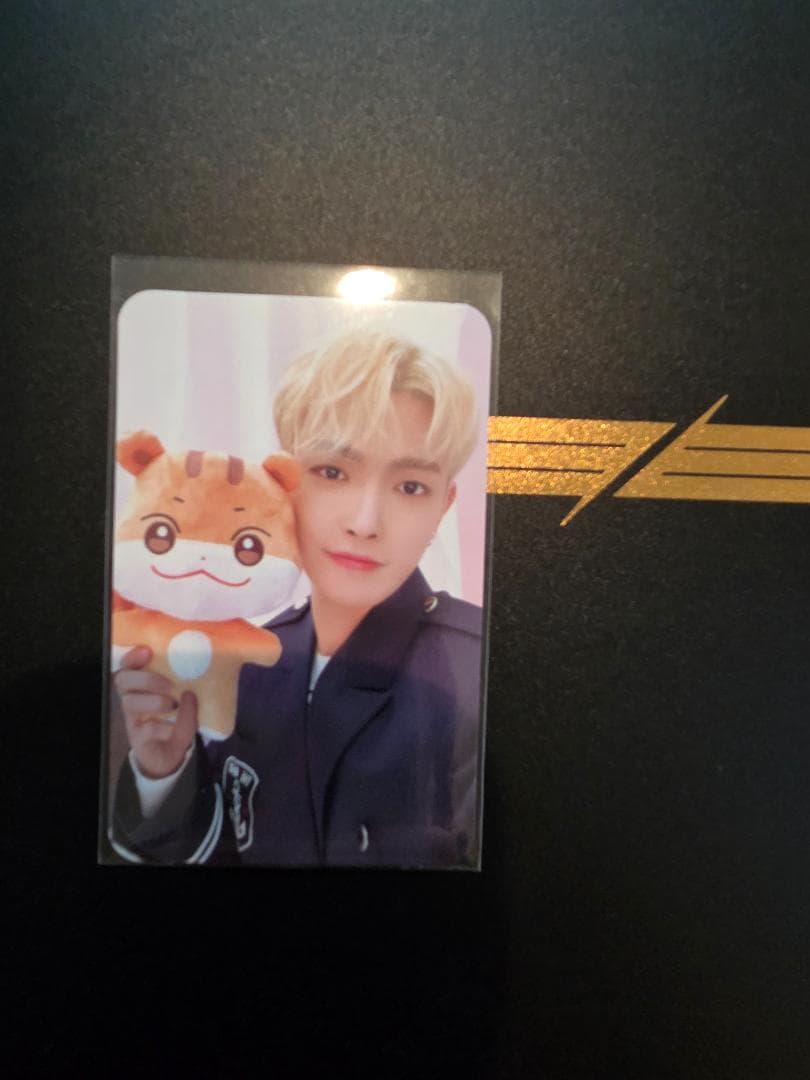 ANITEEZ JJOOngrami ぬいぐるみ　トレカ付き