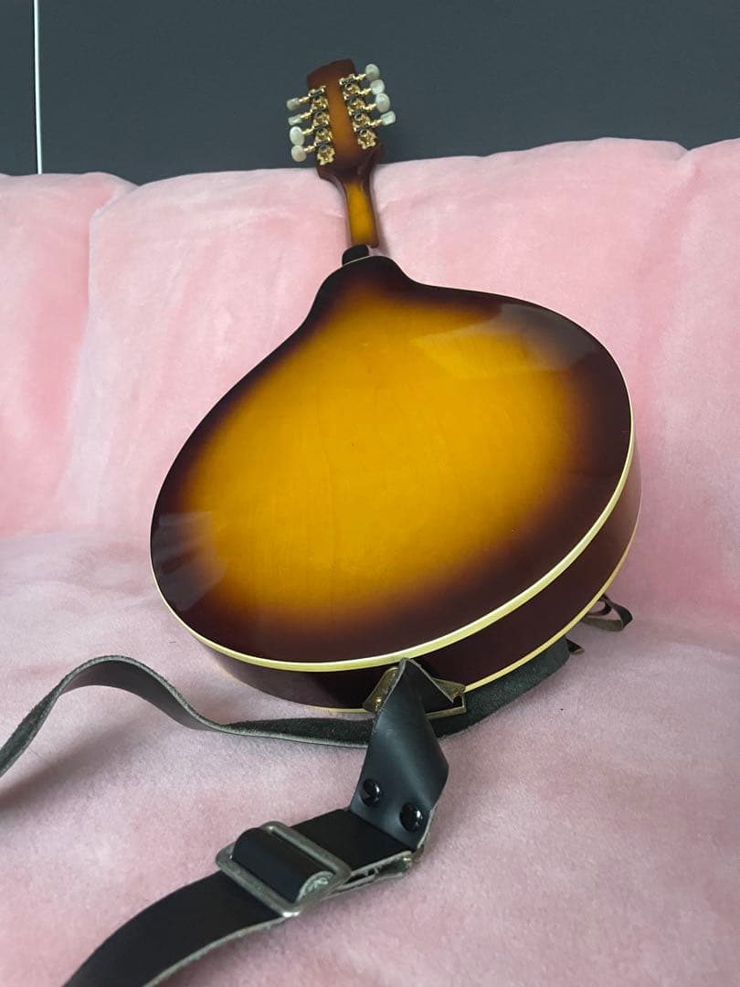 あおちゃん【希少】BlueBell フラットマンドリン 高級 FM-25