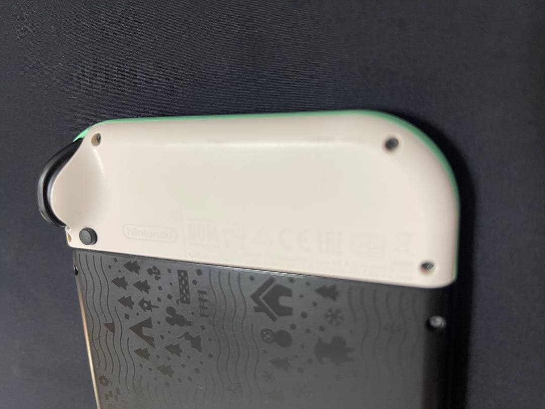 き*送様 Nintendo Switch あつまれ どうぶつの森エディション