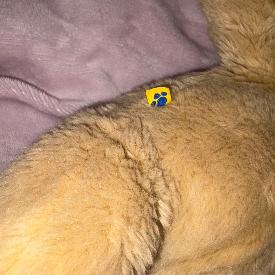 ベルドアベア ラッテテディ