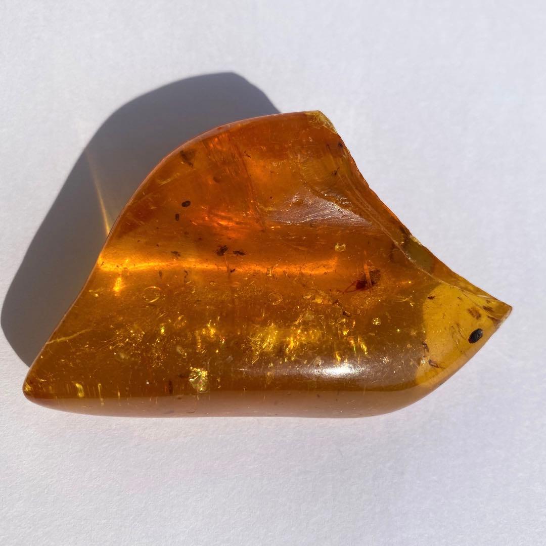 琥珀の半化石のコーパル 希少 虫入り パワーストーン