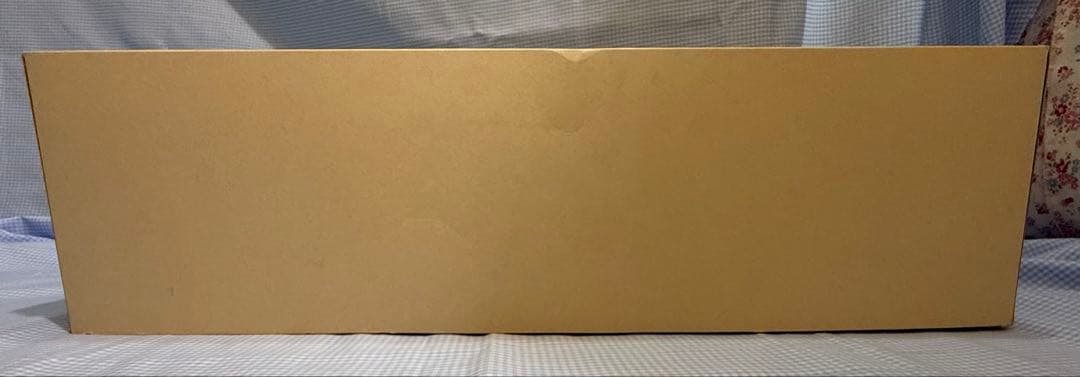 タミヤ★ランボルギーニガヤルド LP 560-4 スーパートロフェオスペアボディ