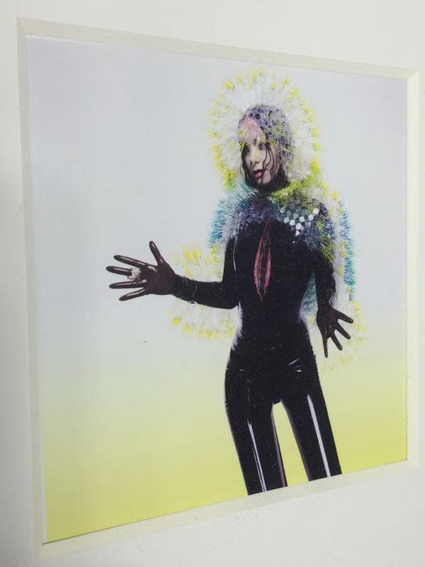 額装品/Bjork（ビョーク）/Vulnicura 2015年/インテリア - メルカリ