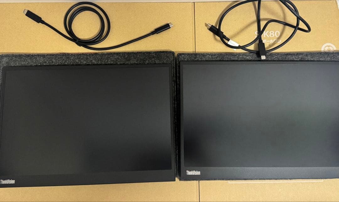 Lenovo Thinkvision M14d 中古2台セット