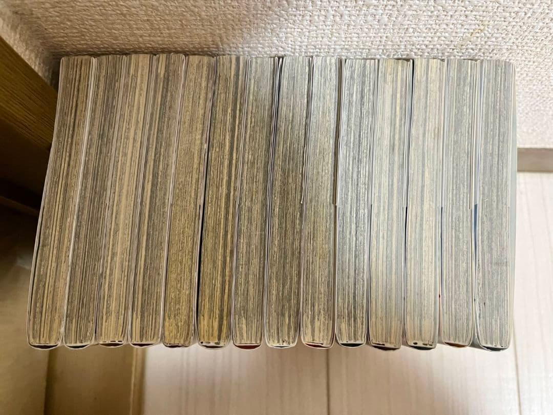 新機動戦記ガンダムWエンドレスワルツ敗者たちの栄光 全巻セット 1巻～14