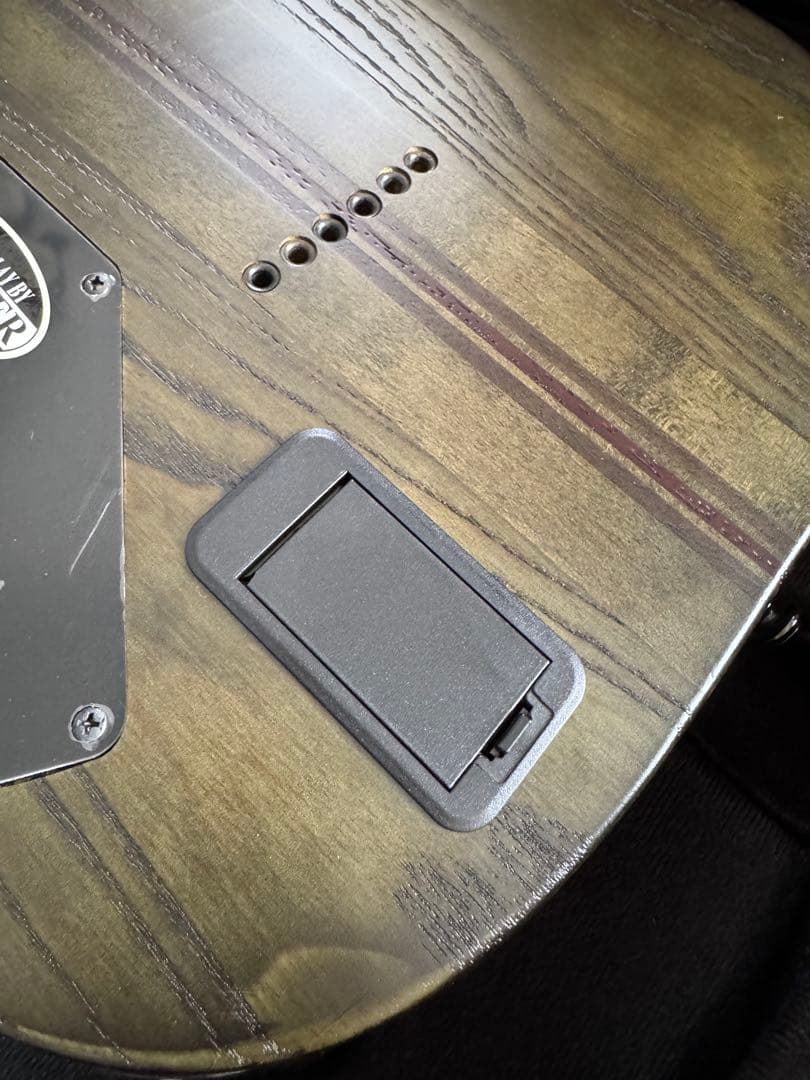 SCHECTER シェクター エレキギター C-1 SLS Evil Twin