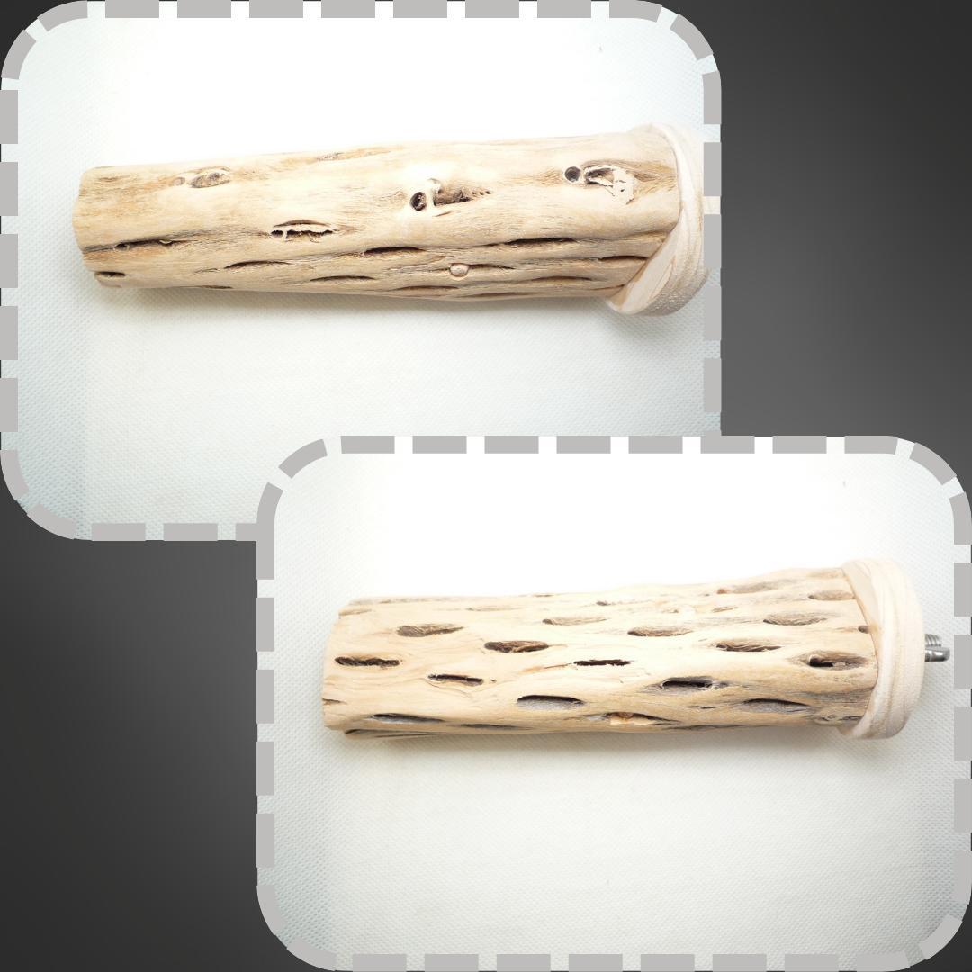 鳥用品 止まり木 カクタス スケルトン パーチ 太めNo.239 鳥用品