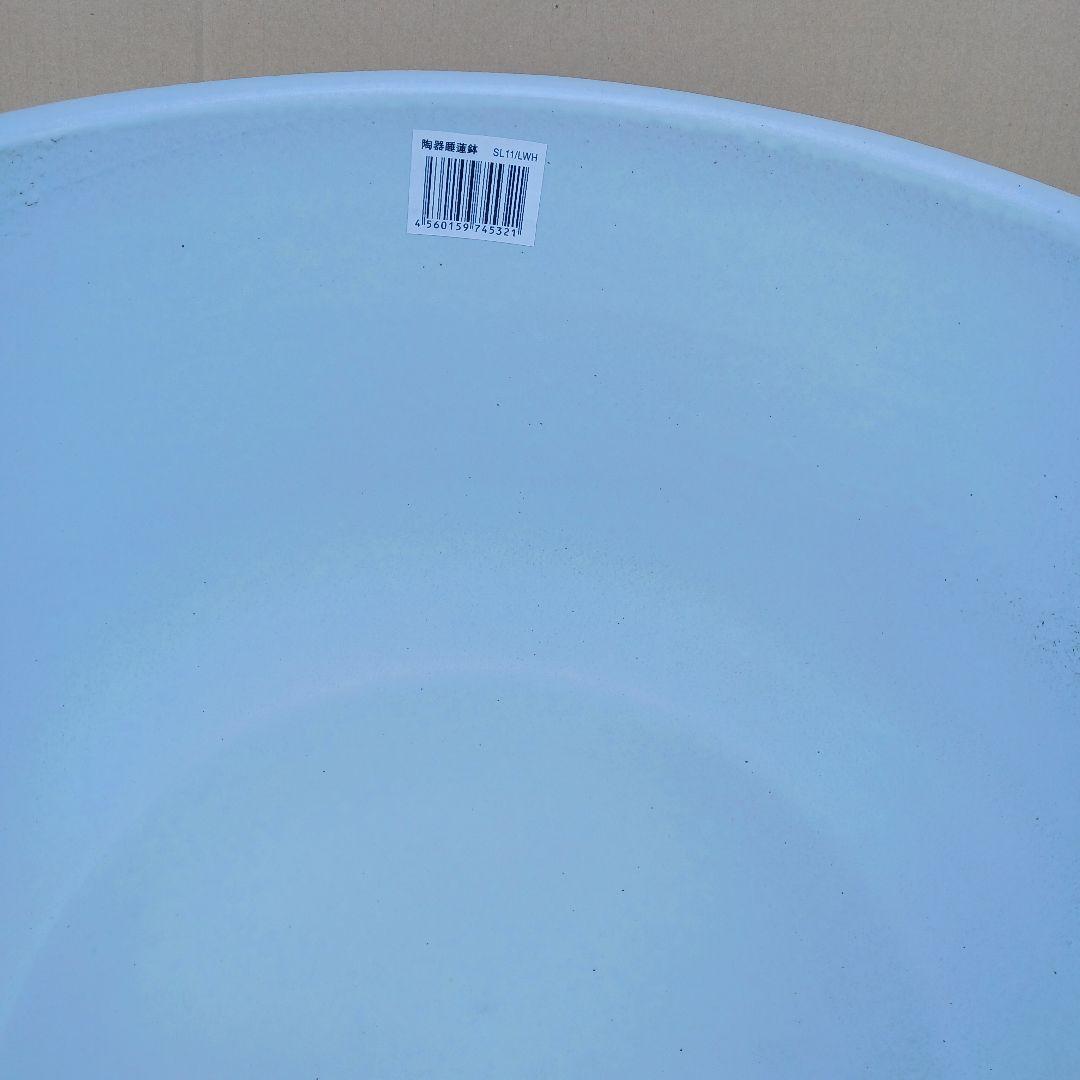 新品 ∅50 陶器 睡蓮鉢 特大 楕円 メダカ鉢 白 ホワイト ルーバー LWH