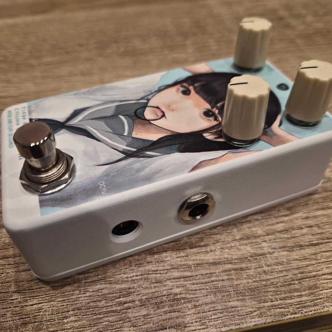 Animals Pedal Custom Illustrated 夏の仕草
