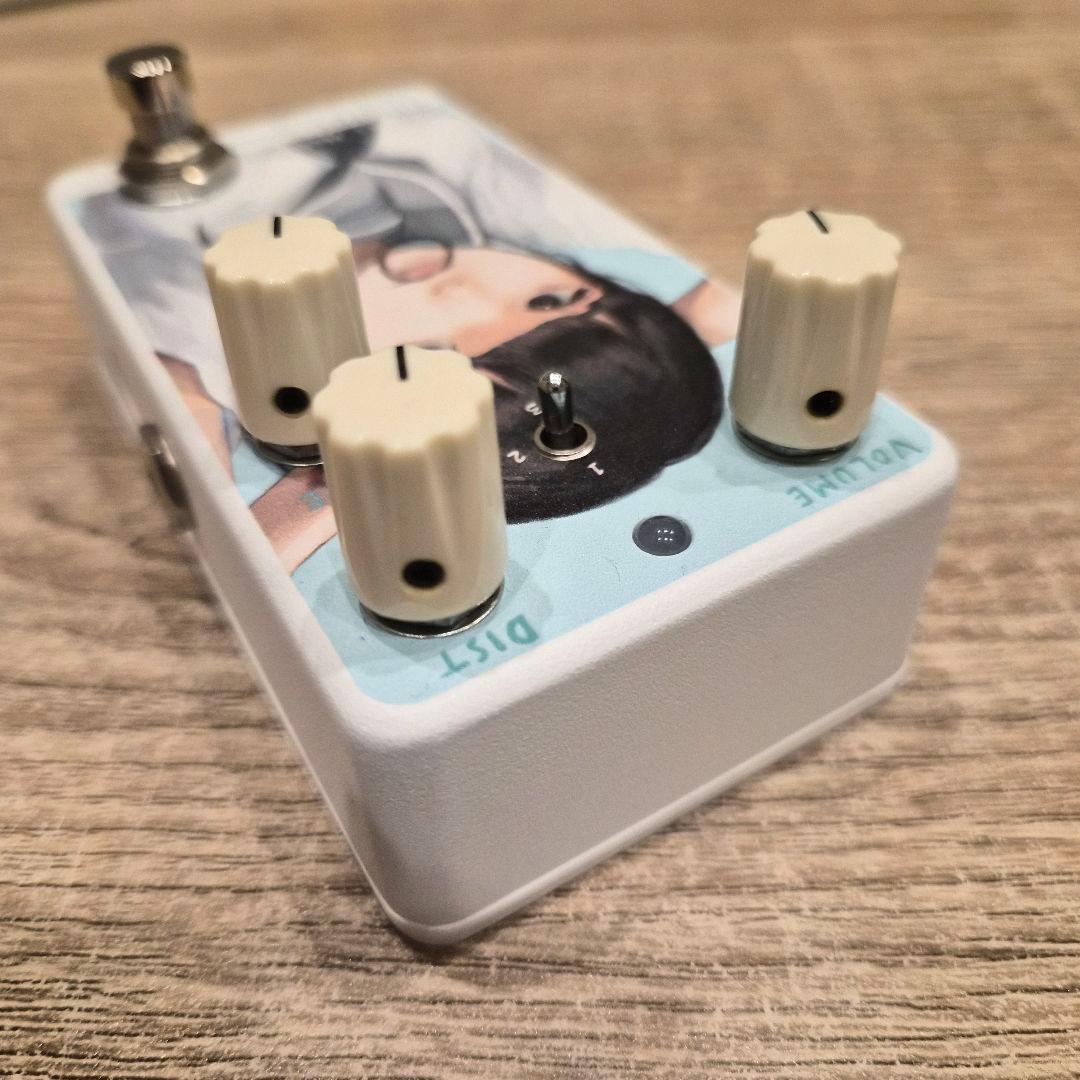 Animals Pedal Custom Illustrated 夏の仕草