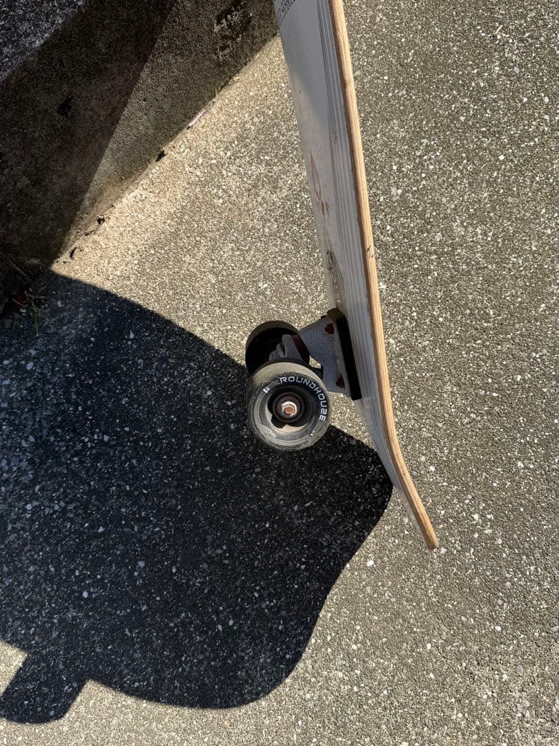 た*様 Carver Skateboard カーバー　テイラーノックス