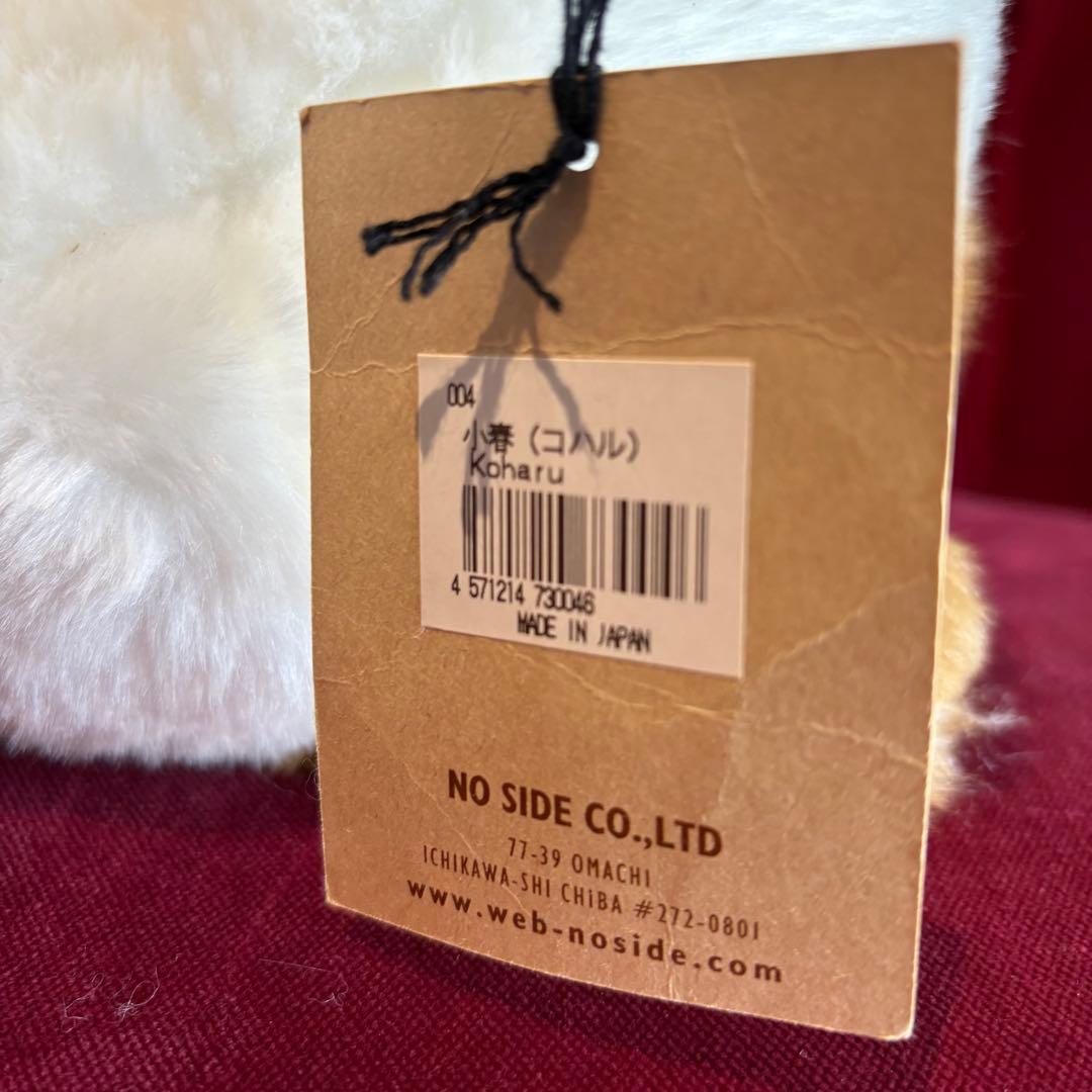 Cuddly 小春 Koharu ぬいぐるみ　①