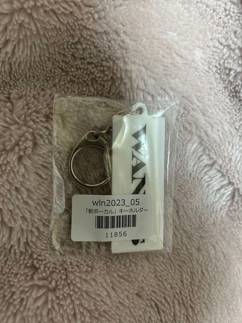 WANDS 上原大史 新ボーカルキーホルダー