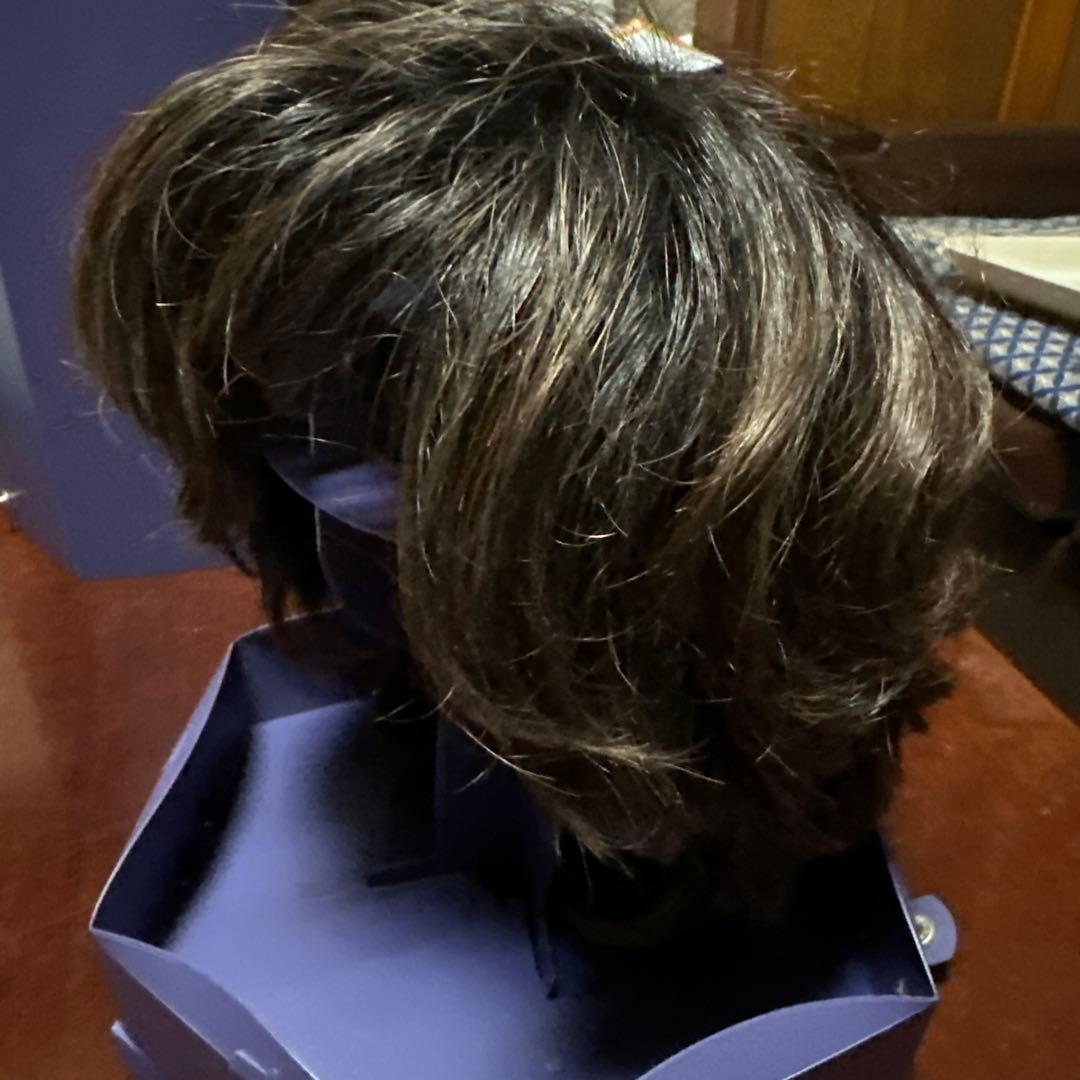 フォンテーヌ VALAN  フルウィッグ のショート ヘアー　女装　コスプレ