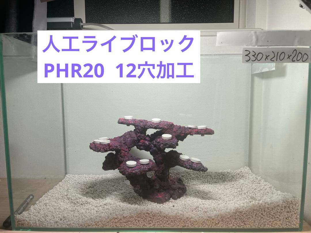 送料無料】人工ライブロック PHR20／12穴加工 アク抜き済み安心塗料