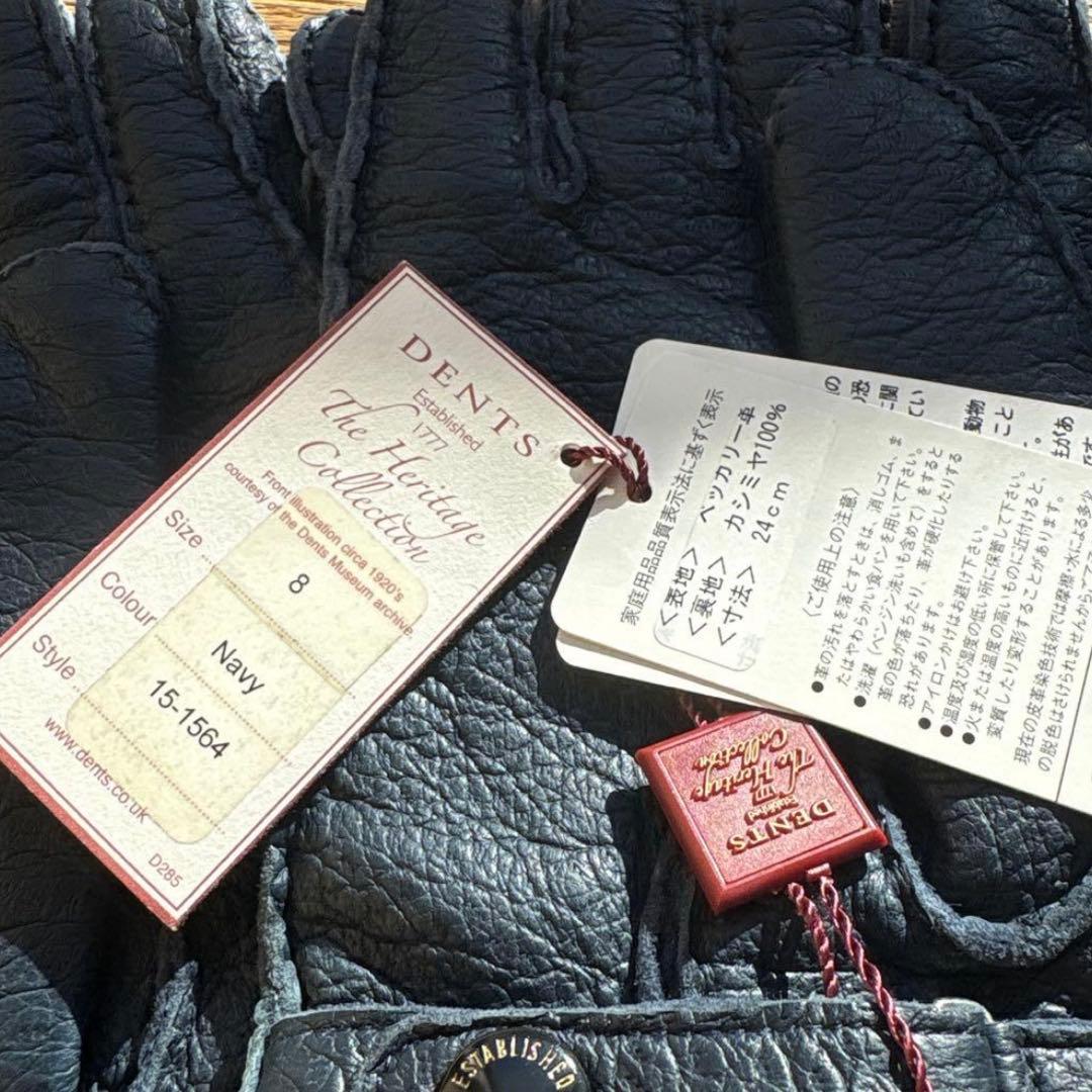DENTS(デンツ) - MASHIMO-ONLINE DENTS navy ペッカリー size8