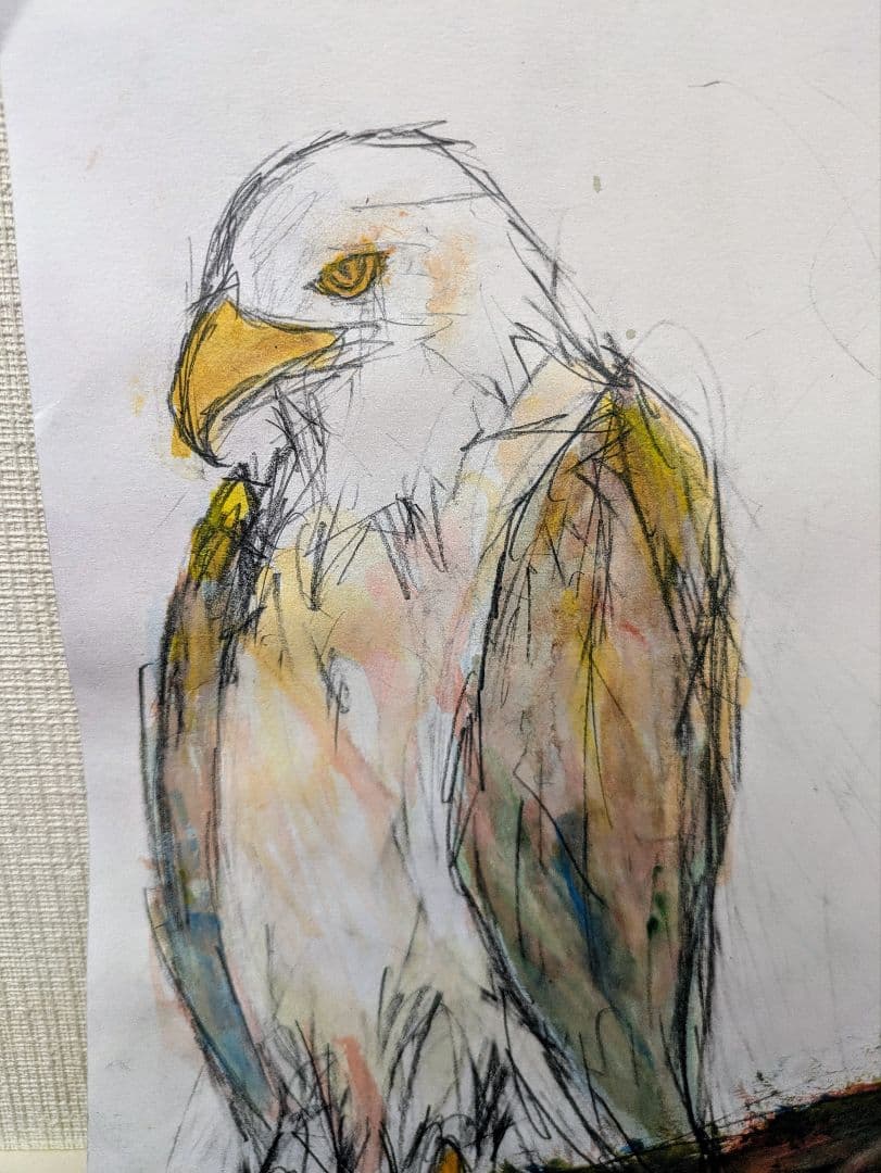 水彩画 鷹 A4サイズ - メルカリ