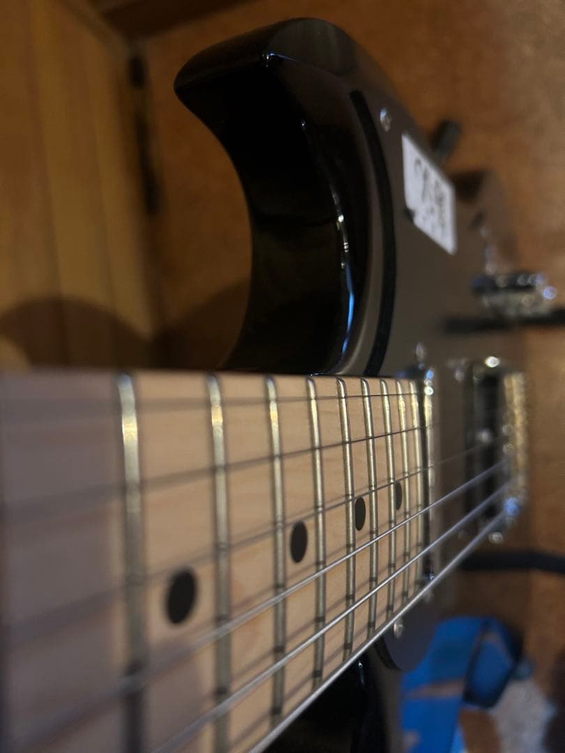 中古　レア！Bacchus BSG Hybrid + Tex-mex PU