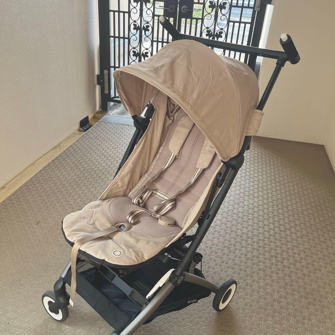 斗々屋茶碗 新高麗 立花大亀和尚 箱書