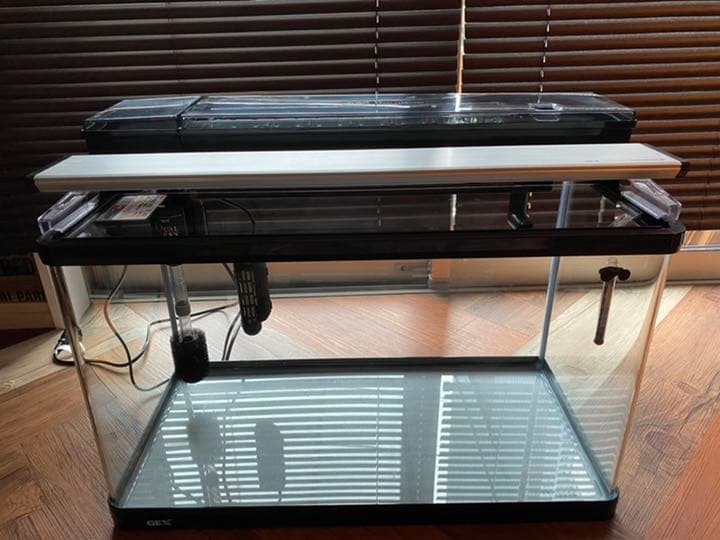 GEX 60cm曲げガラス水槽セット