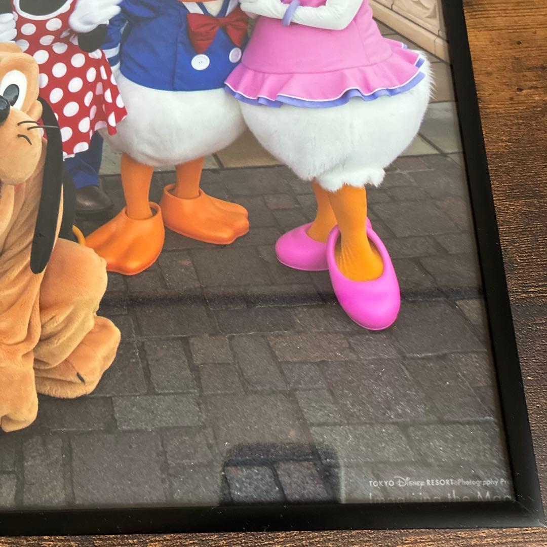 ディズニー イマジニングザマジック 実写 フォトパネル ポスター 額入り