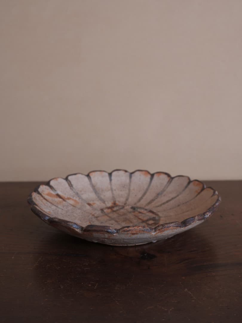 菊文皿　鉄絵　鉢　菓子器　陶磁工芸　箱付　Q1311