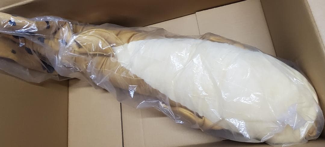 キョーリン でかキュン抱きぐるみ　ネオケラトドゥス