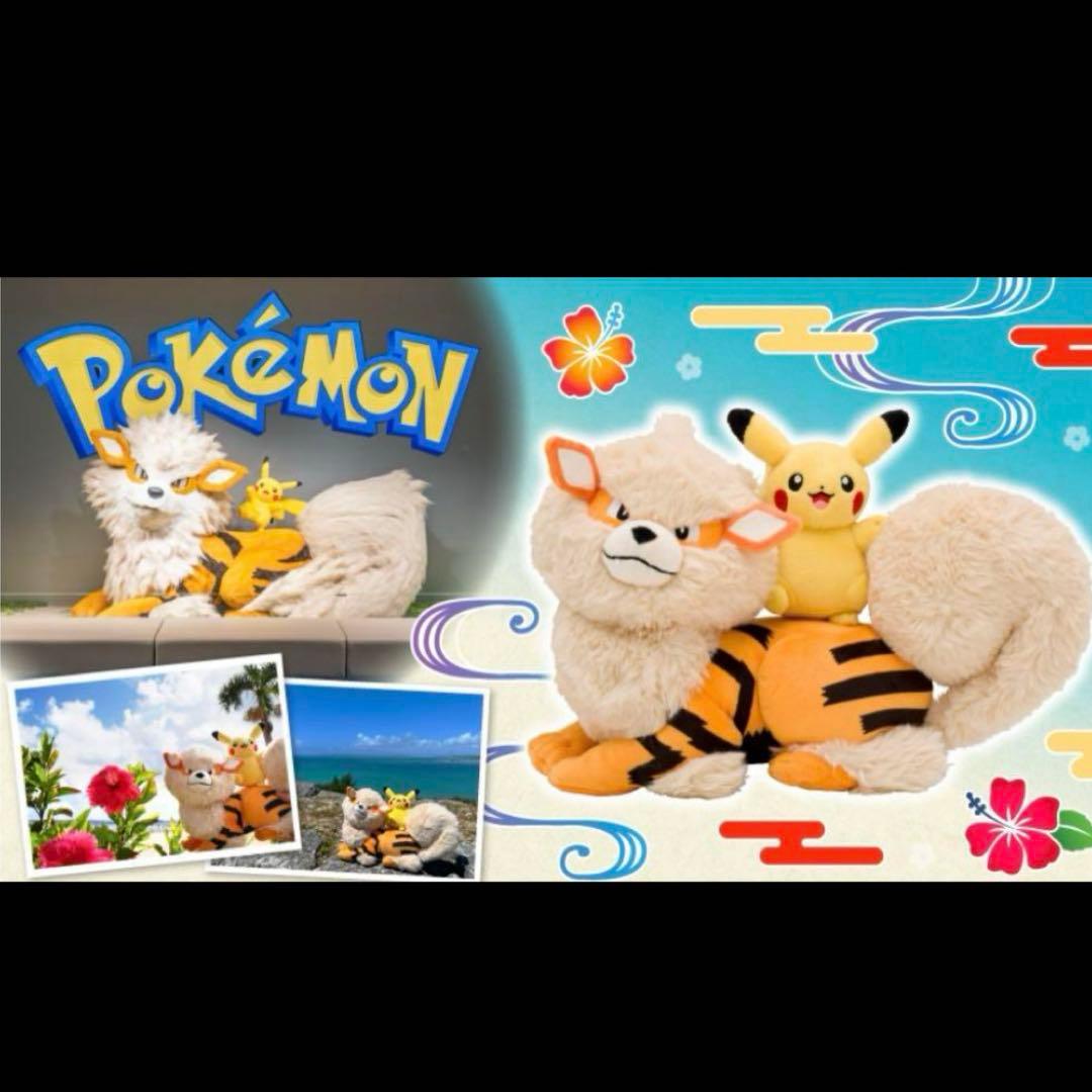 ポケモンセンター　オキナワ限定ウインディとピカチュウぬいぐるみ 10体