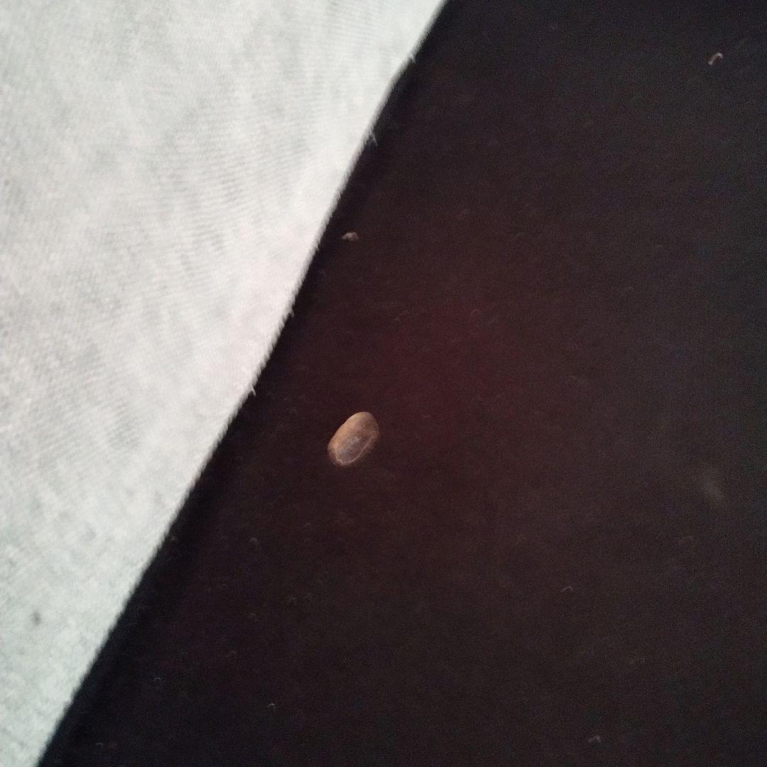 コ*キ様 【青森県三沢市手渡し】関家具 リラックスフォーム カウチソファー