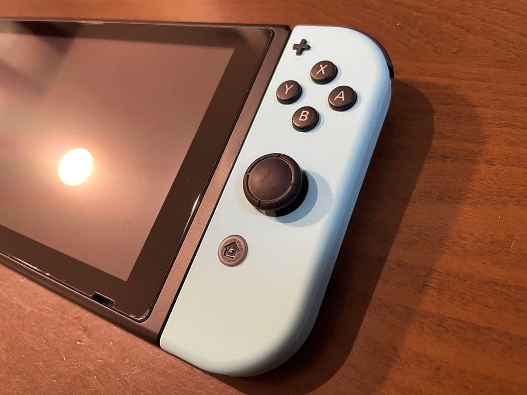 Nintendo Switch あつまれどうぶつの森セット　ハードケース付き